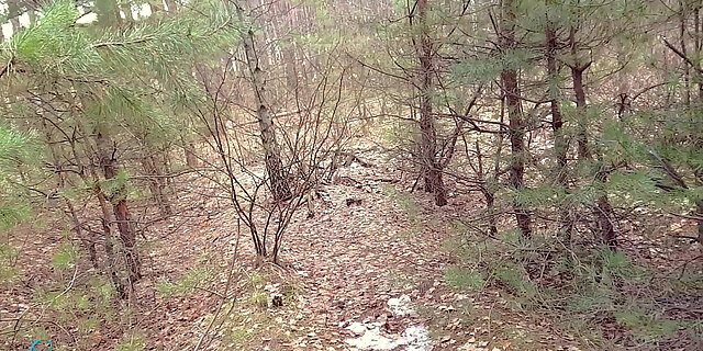 amateur,babes,blowjob,caught,closeup,cum,cumshot,homemade,milf,molten,outdoor,panties,public,real,rough