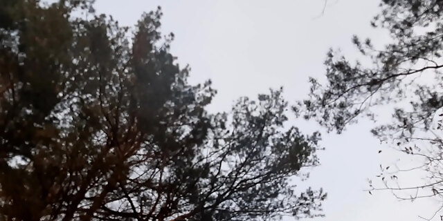 cum,cunnilingus,girlfriend,lesbian,orgasm,outdoor,public,pussy,sex