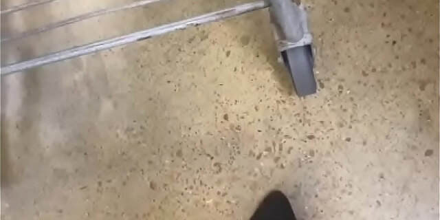 bdsm,black,ebony,exotic,feet,femdom,fetish,public