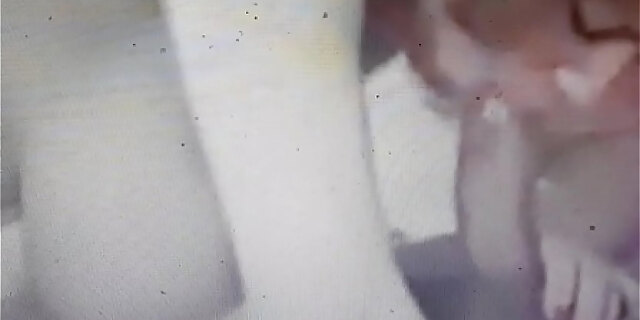 blowjob,boobs,cougar,milf