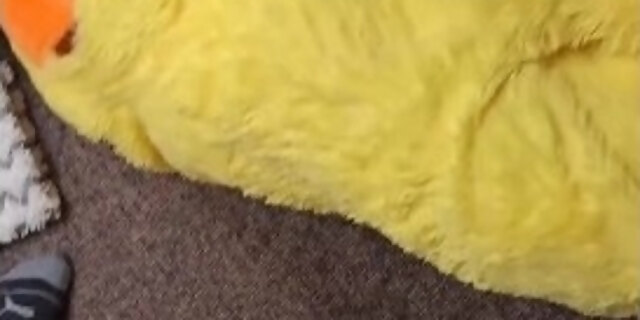 amateur,car,desperate,fetish,pissing,public,solo