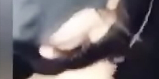 amateur,babes,bbc,big cock,blowjob,caught,cheating,cheating wife,deepthroat,homemade,latina,molten