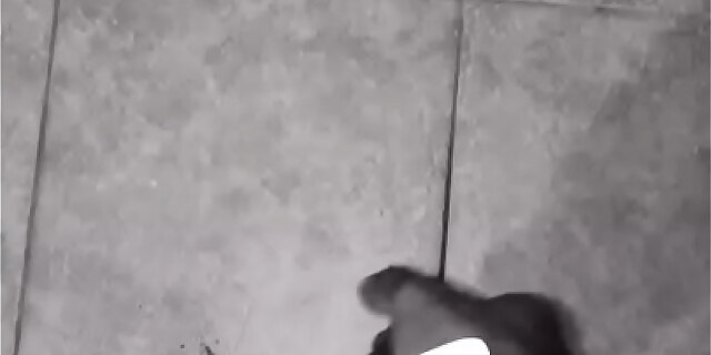 amateur,bbc,beach,black,homemade,reality