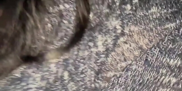 amateur,ass,latina,massage,mexican,orgasm,pussy,real,teen