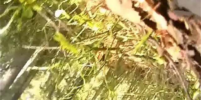 amateur,big cock,blowjob,brunette,doggystyle,european,girlfriend,handjob,hardcore,homemade,kissing,natural tits,outdoor,riding,skinny,small tits,teen