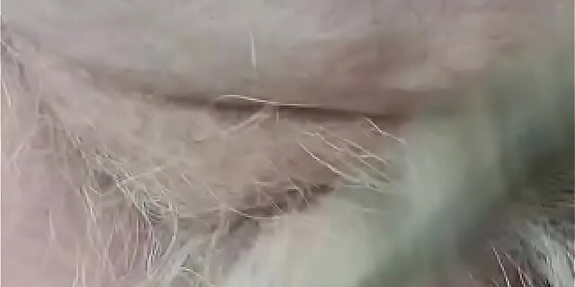 black,public,slapping