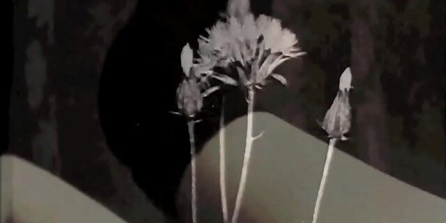 fantasy,hairy,mature,milf,mom,retro,taboo,vintage