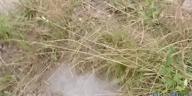 blowjob,cuckold,hardcore,riding,teen