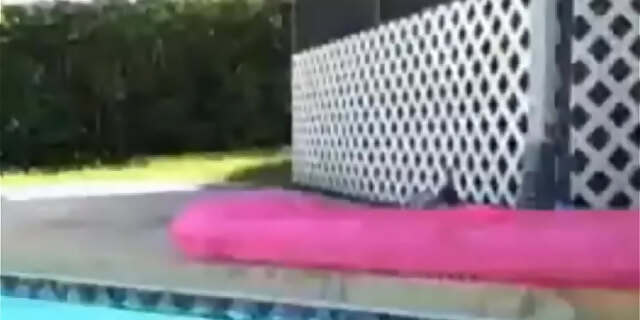 amateur,american,babes,big tits,blowjob,boobs,brunette,exotic,girlfriend,homemade,latina,milf,molten,real