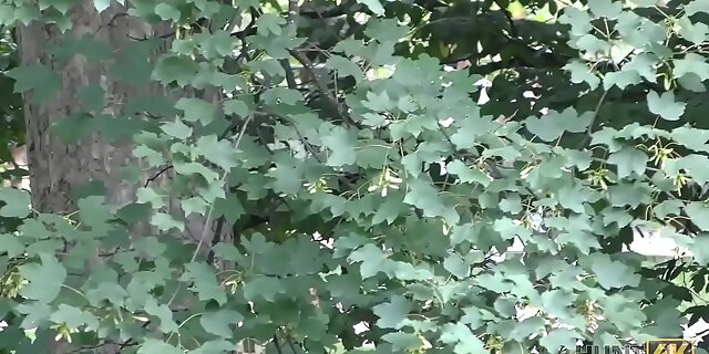 amateur,cash,cuckold,czech,petite,pov,public,sex,teen,wife