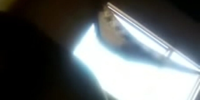 ass,big ass,black,creampie,exotic,riding